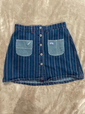 Forewarned Skirt